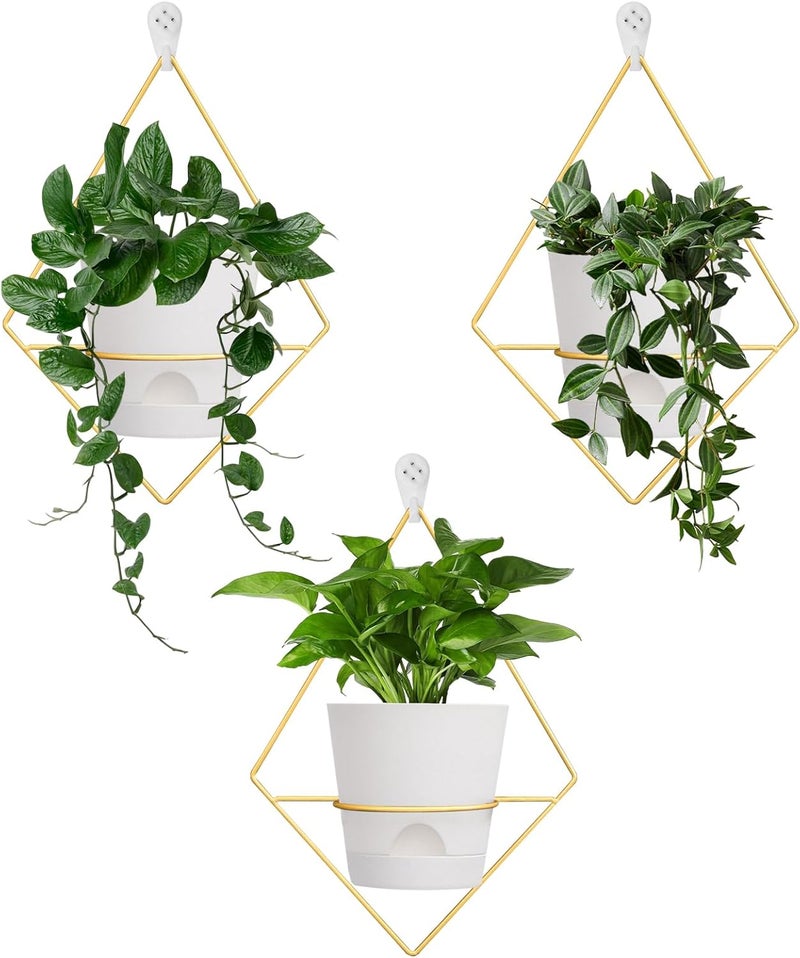Koalaime 3 Sets Wall Planters for Indoor Plants Geometric Hanging Planters for Indoor Plants - Self-Watering Flower Pots with Black Metal Holder, Mounted Succulent Planter, 5" Black Plant Pot - Image 1